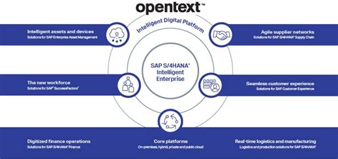 Opentext Solutions For Sap Run Digital Run Cloud