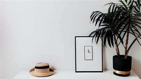 Minimalist Plants Office Little Free Photo On Pixabay Pixabay