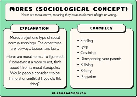 21 Examples of Mores in Sociology (2024) - Helpful Professor