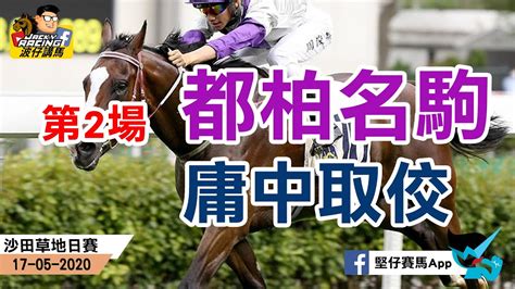 香港賽馬 17 05 2020 沙田草地日賽 波仔講馬 第2場 都柏名駒 庸中取佼 賽馬精選 Youtube