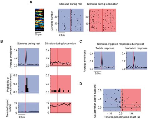 Gated Co Activation Of Purkinje Cell Dendrites By External Aversive