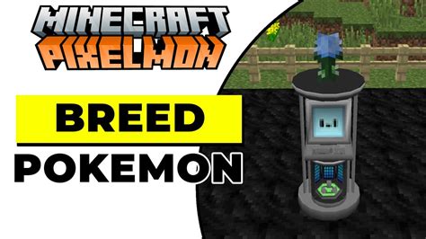 How To Breed Pokemon In Pixelmon 1 16 5 Quick Easy YouTube