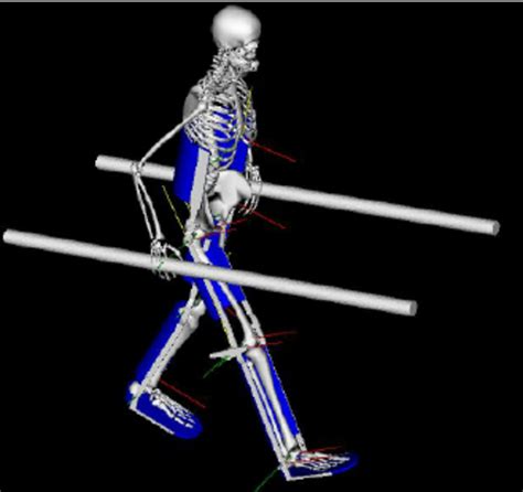 OpenSim Model Of The Human Body Constrained To The Virtual Exoskeleton