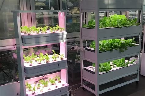 9 Different Types Of Hydroponic Systems And How They Work