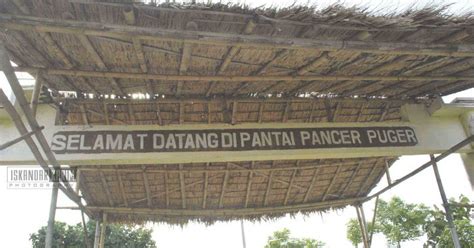 ekologi wisata pantai pancer puger jember