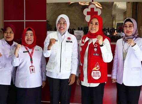 Profil Fitrianti Agustinda Calon Wako Palembang Dari Golkar