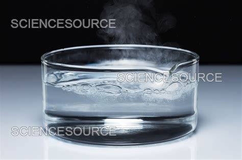 Photograph Sodium Reacts With Water 2 Of 4 Science Source Images