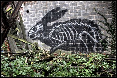 Roa Rabbit Skeleton View Large On Black Flickr