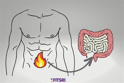 Agni In Ayurveda Understand The Digestive Fire For Gut Health Fitsri