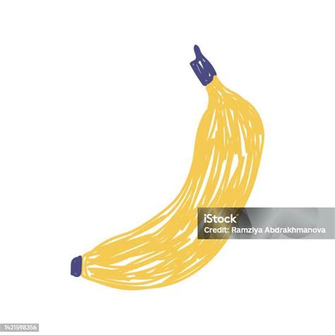 Sketsa Buah Pisang Ilustrasi Vektor Warna Gambar Pena Atau Spidol ...