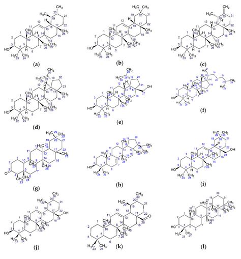 triterpenes  vaccinium vitis idaea    amyrin   amyrin