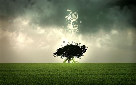 living spaces lone tree 5