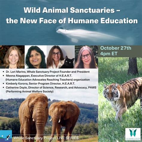 Wild Animal Sanctuaries – the New Face of Humane Education - The Whale ...