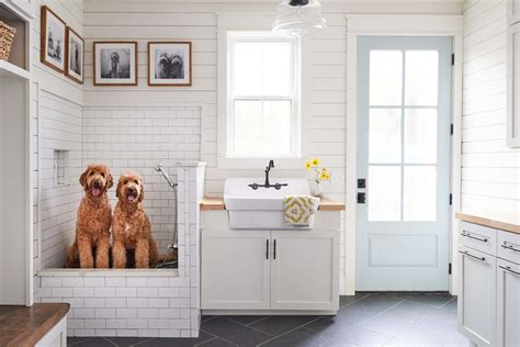 6 Tips From The Pros To Get The Pet Shower Of Your Dreams Daily Paws