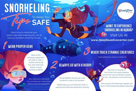 Snorkeling Tips To Keep You Safe Infographic Deep Blue Dive Center