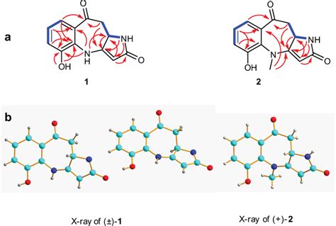 Structure Elucidation A COSY And Key HMBC Correlations Of 1 And 2 B