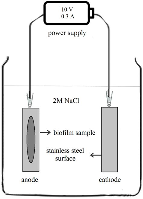 Schematic illustration of electrolysis setup | Download Scientific Diagram