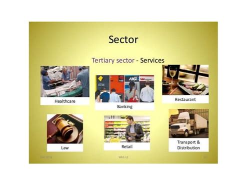 The Tertiary Sector Services Transport Ppt