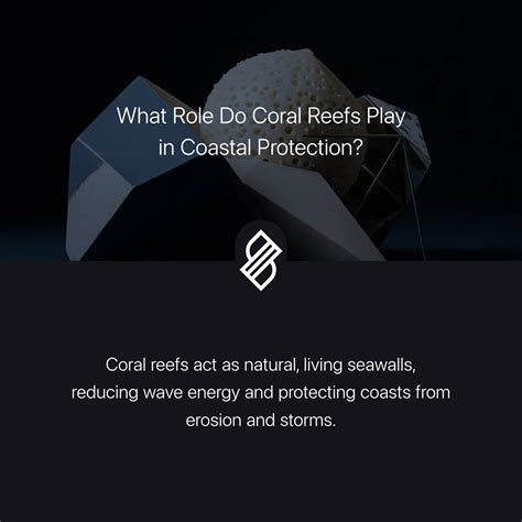 What Role Do Coral Reefs Play in Coastal Protection? → Question