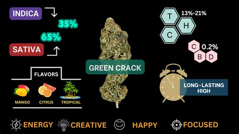 Green Crack Strain Cannabis Guide Stiiizy