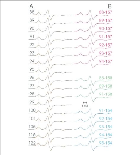 Low Temperature T 160 K EPR Spectra Of Singly Labeled Transducer And