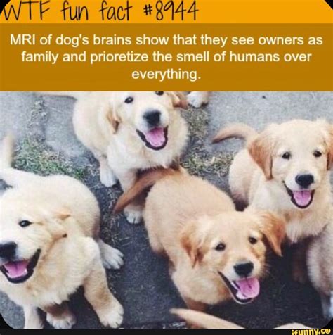 You ok Stranger Im horny stranger Yes Stronger okay you wanna go ﬁts or me You il stan