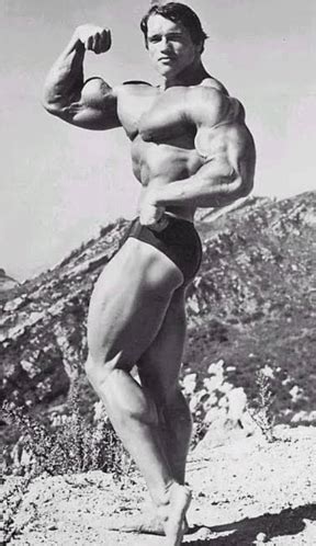 Arnold Schwarzenegger Arnold Bicep Meme Arnold Schwarzenegger Arnold