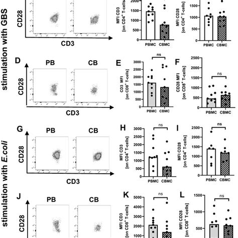 Expression Of Icm On Neonatal And Adult T Cells Upon Stimulation With