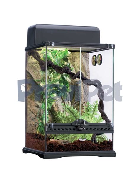 Habitat Kit Rainforest De Exo Terra En Provipet