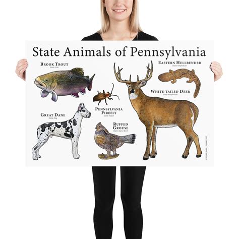 Pennsylvania State Animals Poster Print | Etsy