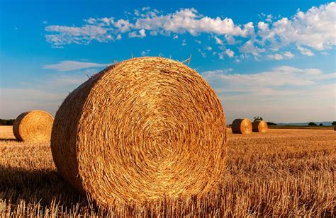 70000 Free Hay Field And Hay Images Pixabay