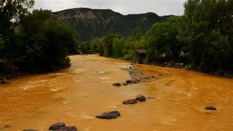 All We Ve Surveyed Five Years After The Gold King Mine Spill New Mexico In Focus