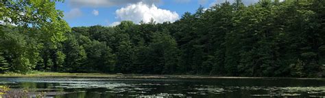 Chenango Lake Woodland Cabin Sylvan Lily Lake Trails Long Loop 223