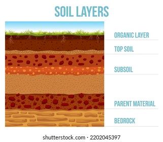 Soil Layer Infographic Earth Geology Formation Stock Vector Royalty