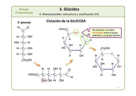 2º BAC AMPLIACION Presentacion T 03 Glucidos 2012 CALAMEO Downloader