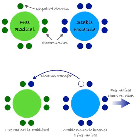 Vitamins and Minerals as Antioxidants – Nutrition: Science and Everyday ...