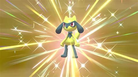 Spieler von Pokemon Karmesin Purpur sichern sich glänzende Riolu