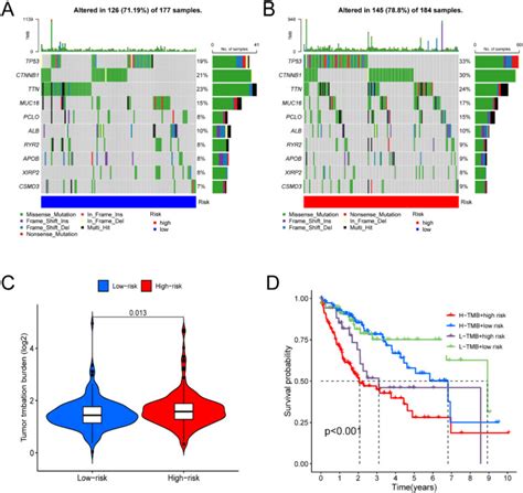 A Cuproptosis Related Lncrna Signature For Predicting Prognosis And