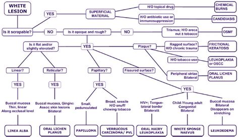 Hairy Leukoplakia - Pictures, Treatment, Diagnosis, Features