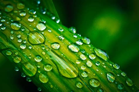 Clean Close Up Drop Drop Of Water Droplet Liquid Macro Ripple