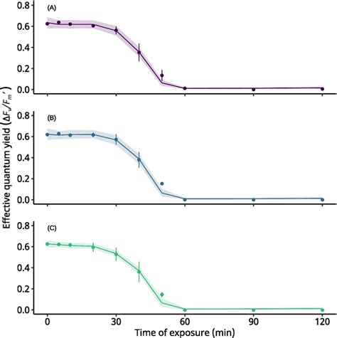 The chronological response of photochemical efficiency ΔF Fm in a