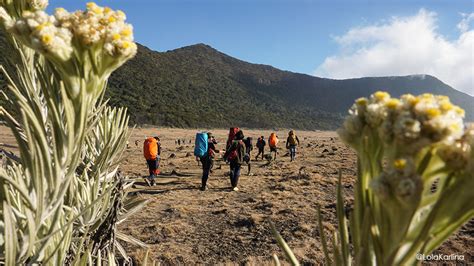 Geoliving Alun Alun Surya Kencana Lanskap Yang Menyegarkan