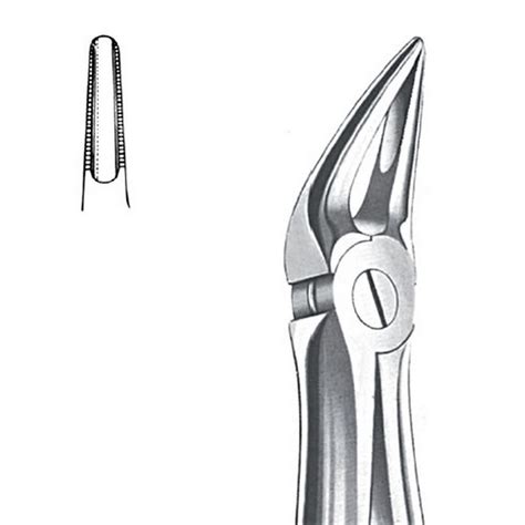 Pinza Estrazione Radici Superiori In Acciaio Inox Fig 30 KN 80 030 00