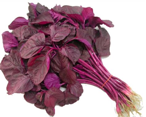 Red Spinach Amaranth Amaranthus Dubius Seeds 400 Number Etsy Uk