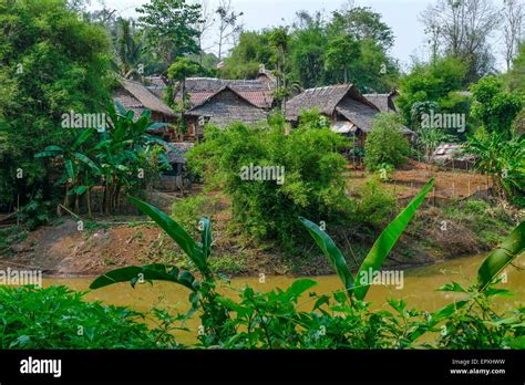 Hill Tribes Village In Chiang Rai Northern Thailand Thailand Asia