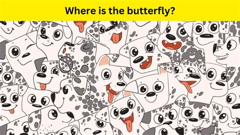 Use Your Puzzle Solving Skills To Find The Butterfly Hiding Among