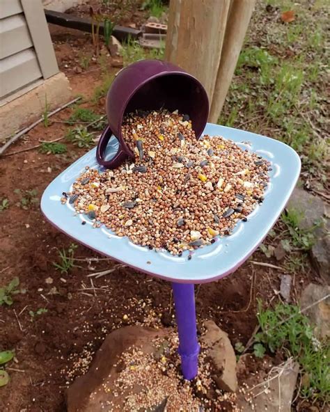 15 Decorative DIY Bird Feeder Ideas