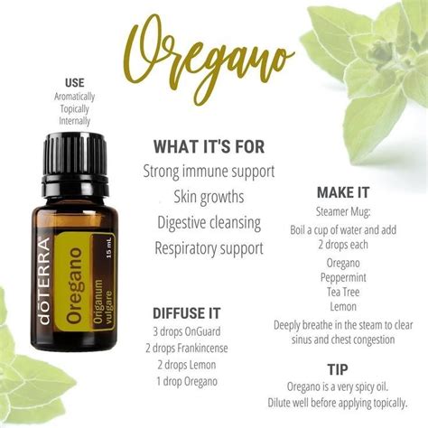 5 Ways To Use Oregano Essential Oil Artofit