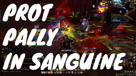 Sanguine Depth Mythic As A Protection Paladin Tank Youtube