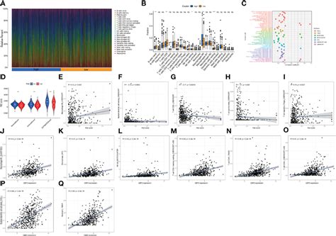 The Proportion Of Immune Cells TME Score And Infiltrative Immune